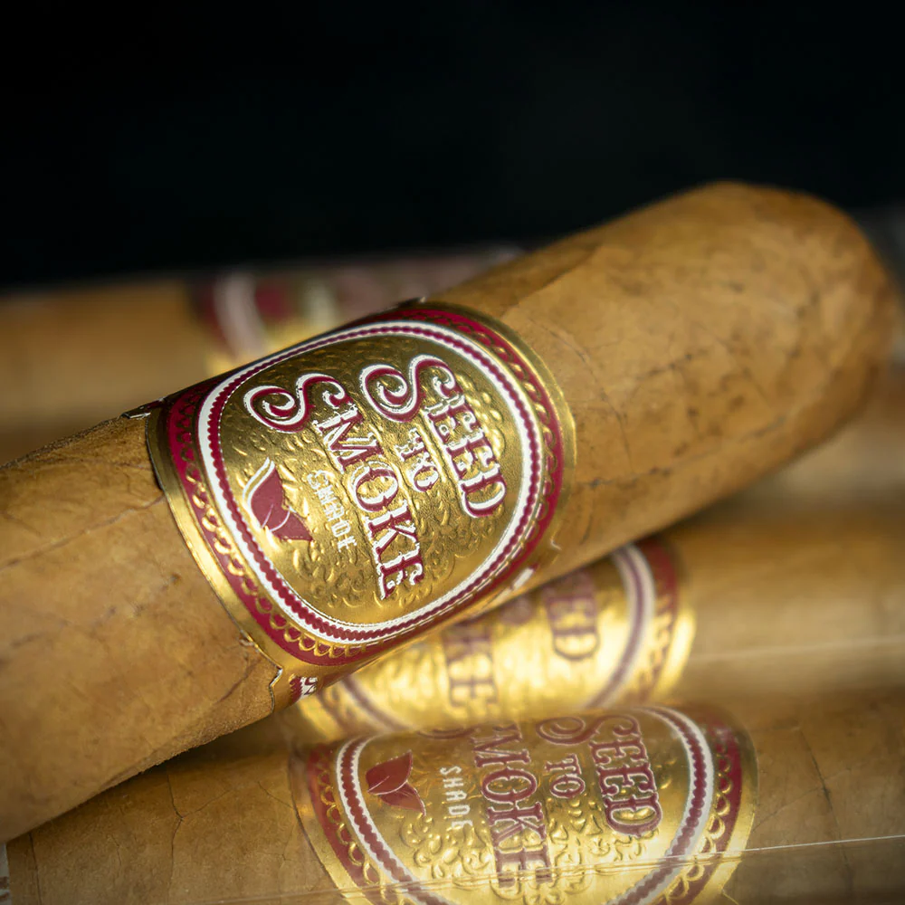 Rocky Patel Seed to Smoke Shade Connecticut Toro Cigars - Pack of 10 - Image 3