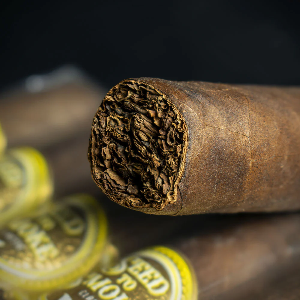 Rocky Patel Seed to Smoke Classic Maduro Toro Cigars - Pack of 10 - Image 5