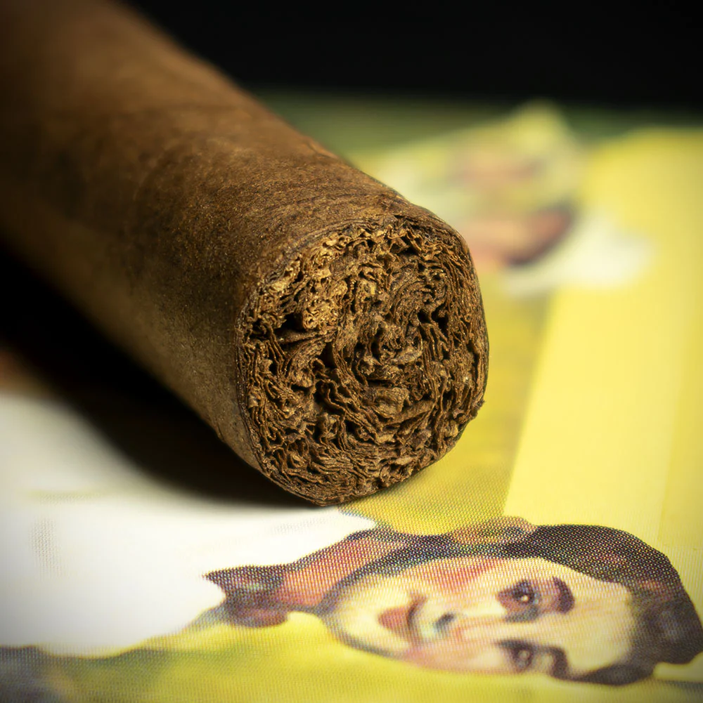 Aladino Santi Corojo Cigar - Single - Image 6