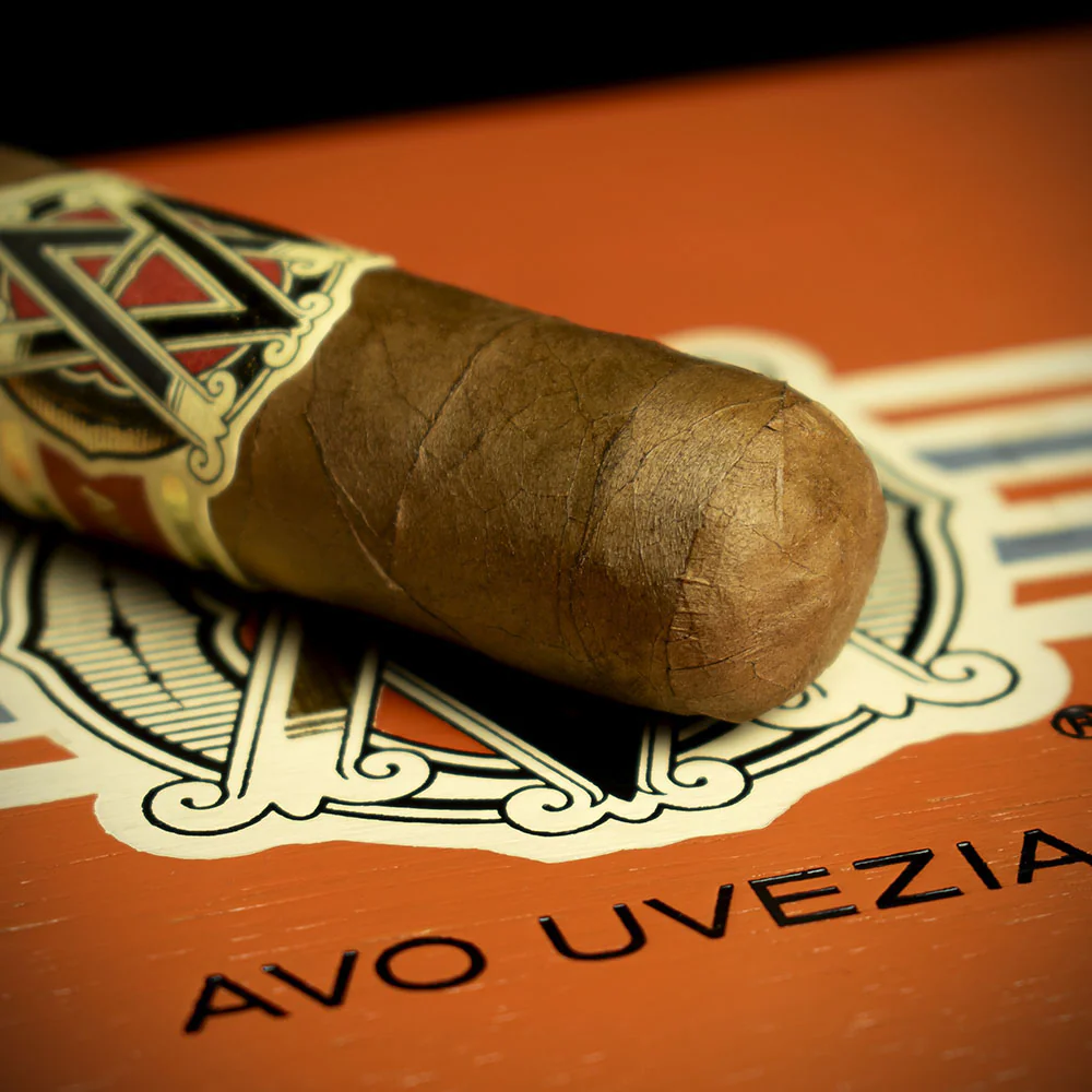 AVO XO Notturno Corona Cigar - Single - Image 5