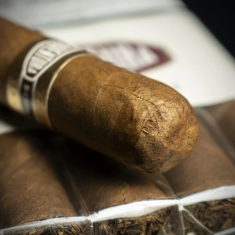 Curivari Buenaventura Picadores 42 Corona Cigars - Bundle of 10 - Image 4
