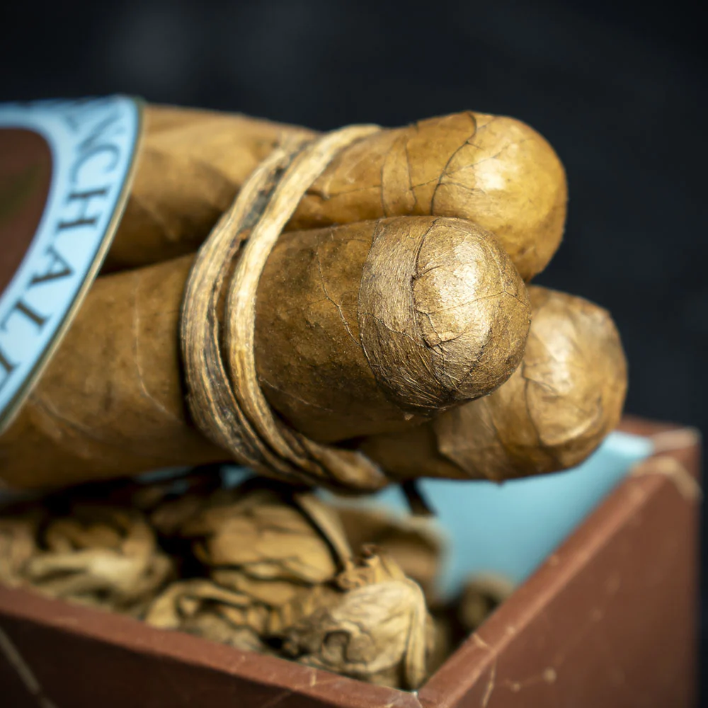 Chinchalero Culebras Braided Nicaraguan Cigars - Box of 3 - Image 4