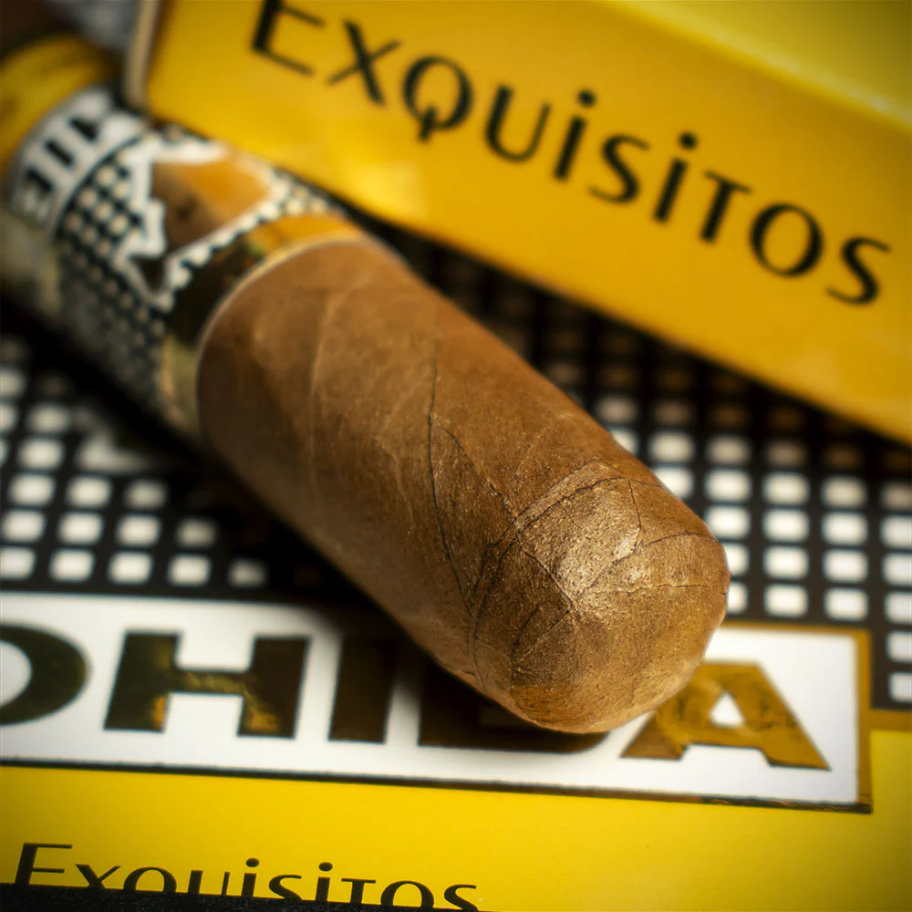 Cohiba Exquisitos Cuban Cigars - Pack of 5 - Image 4