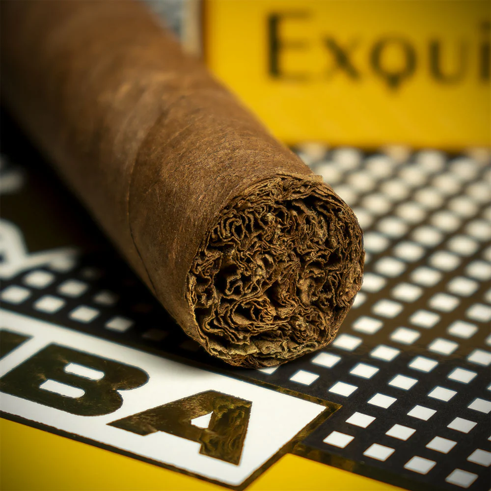 Cohiba Exquisitos Cuban Cigars - Pack of 5 - Image 5