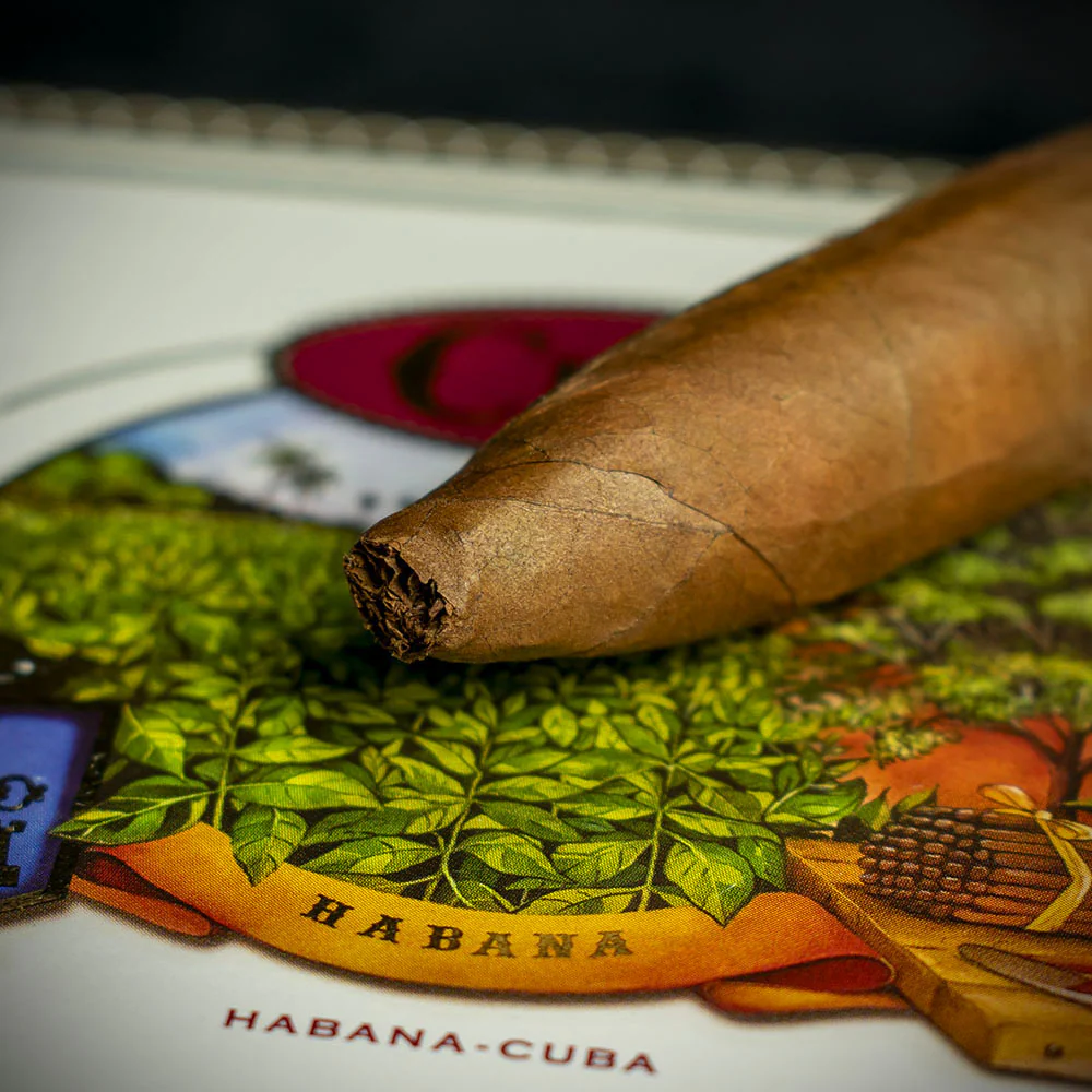 Cuaba Exclusivos Cuban Cigar - Single - Image 6