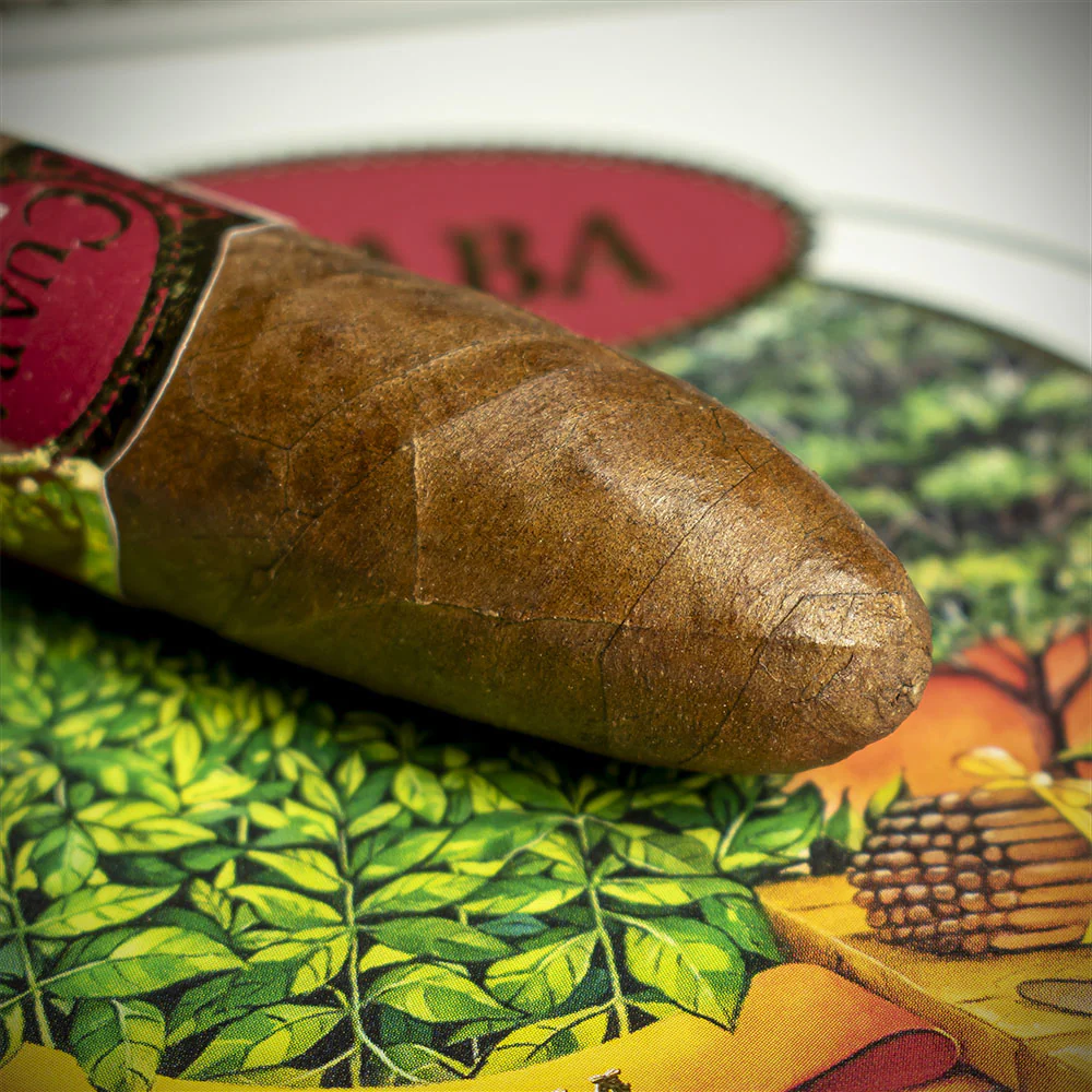 Cuaba Salomones Cuban Cigar - Single - Image 5