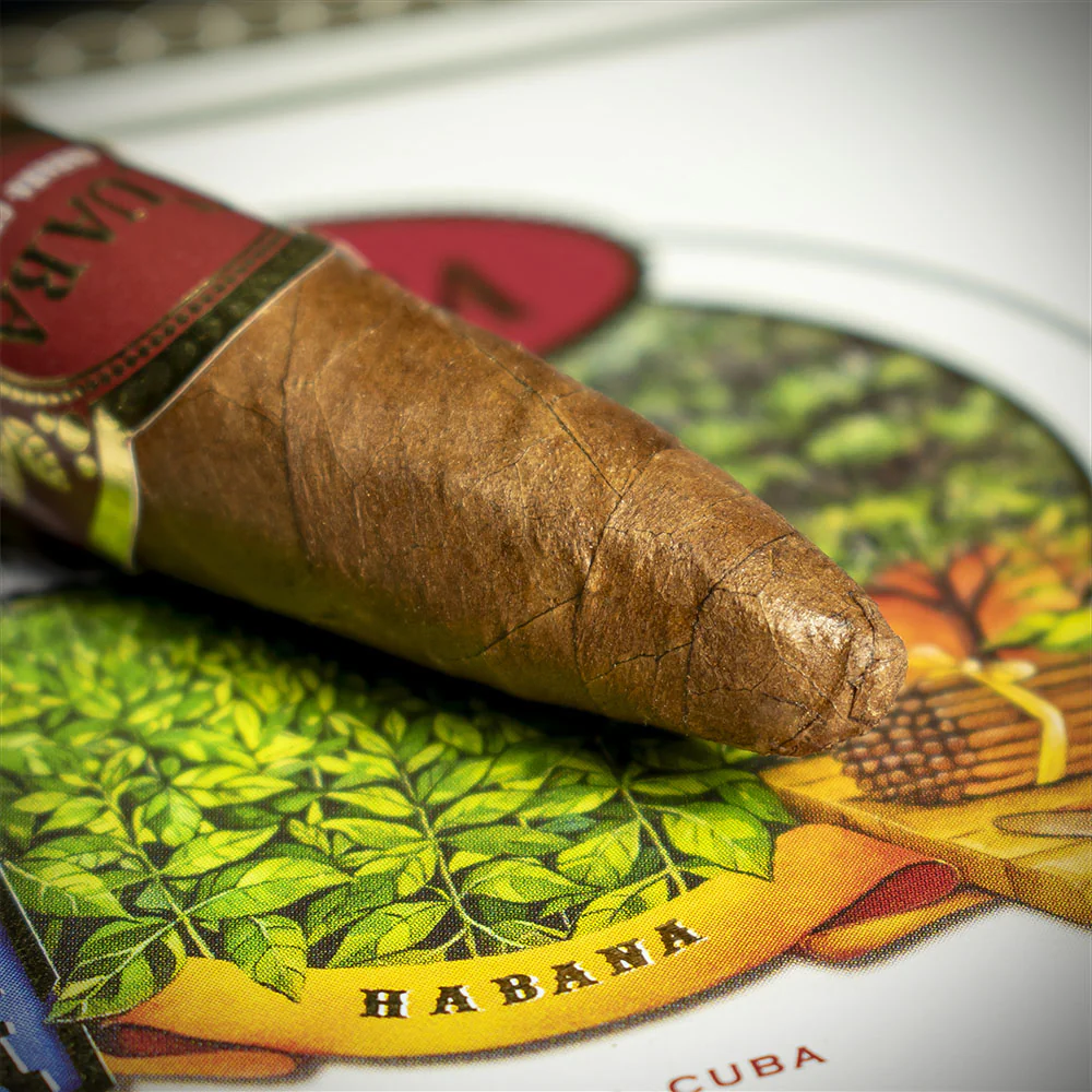 Cuaba Tradicionales Cuban Cigars - Box of 25 - Image 4