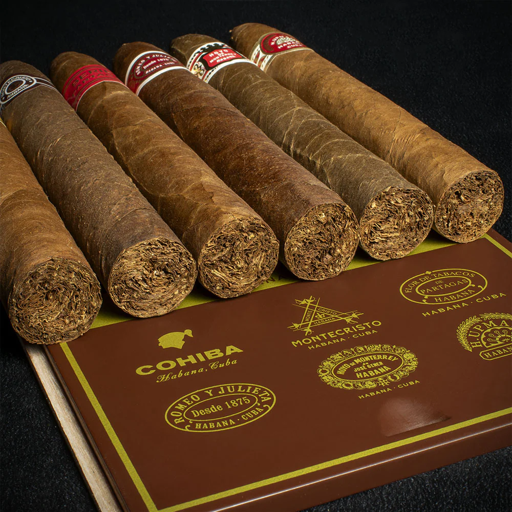 Cuban Piramides Havana Cigar Sampler - Box of 6 - Image 6