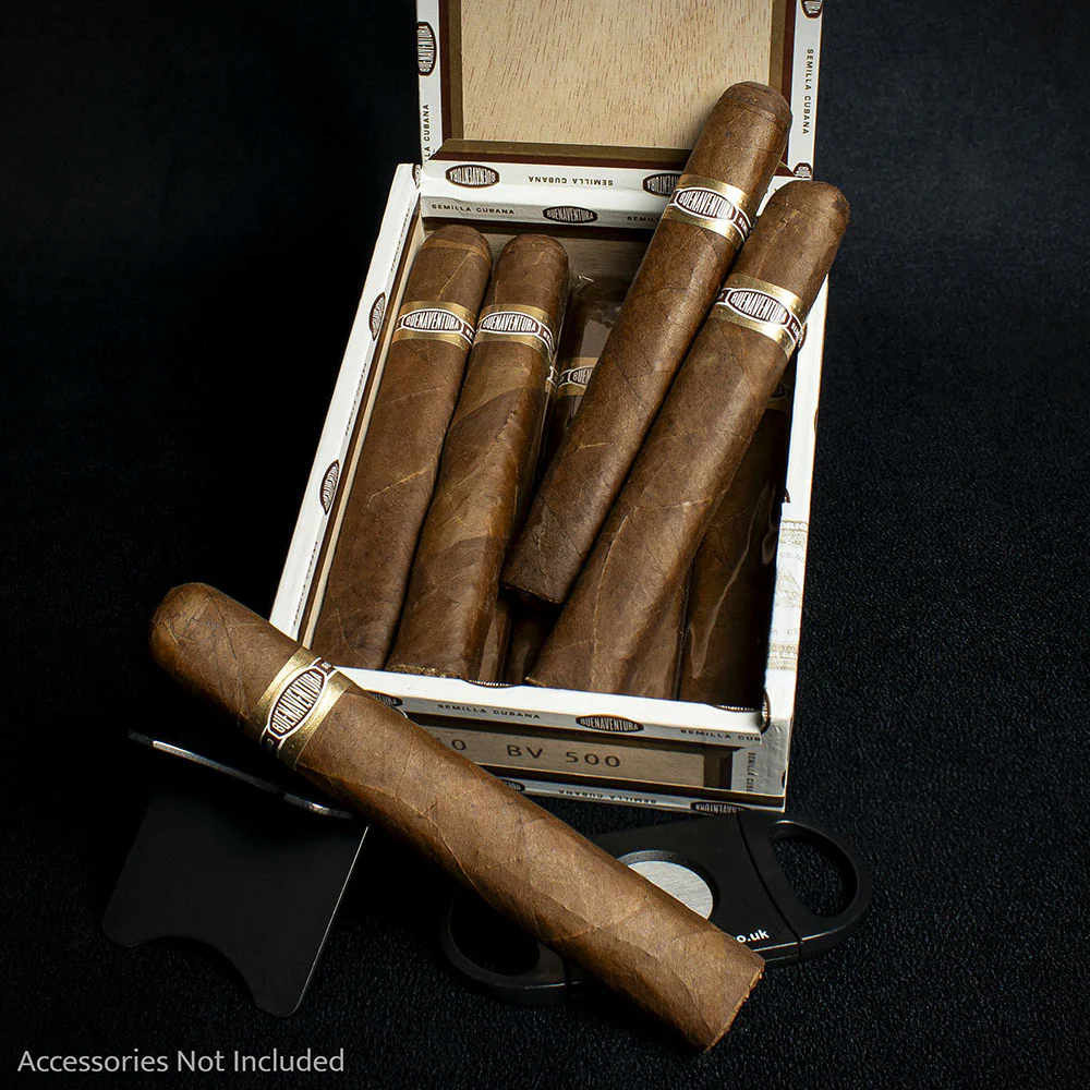 Curivari Buenaventura BV 500 Nicaraguan Robusto Cigar - Single - Image 3