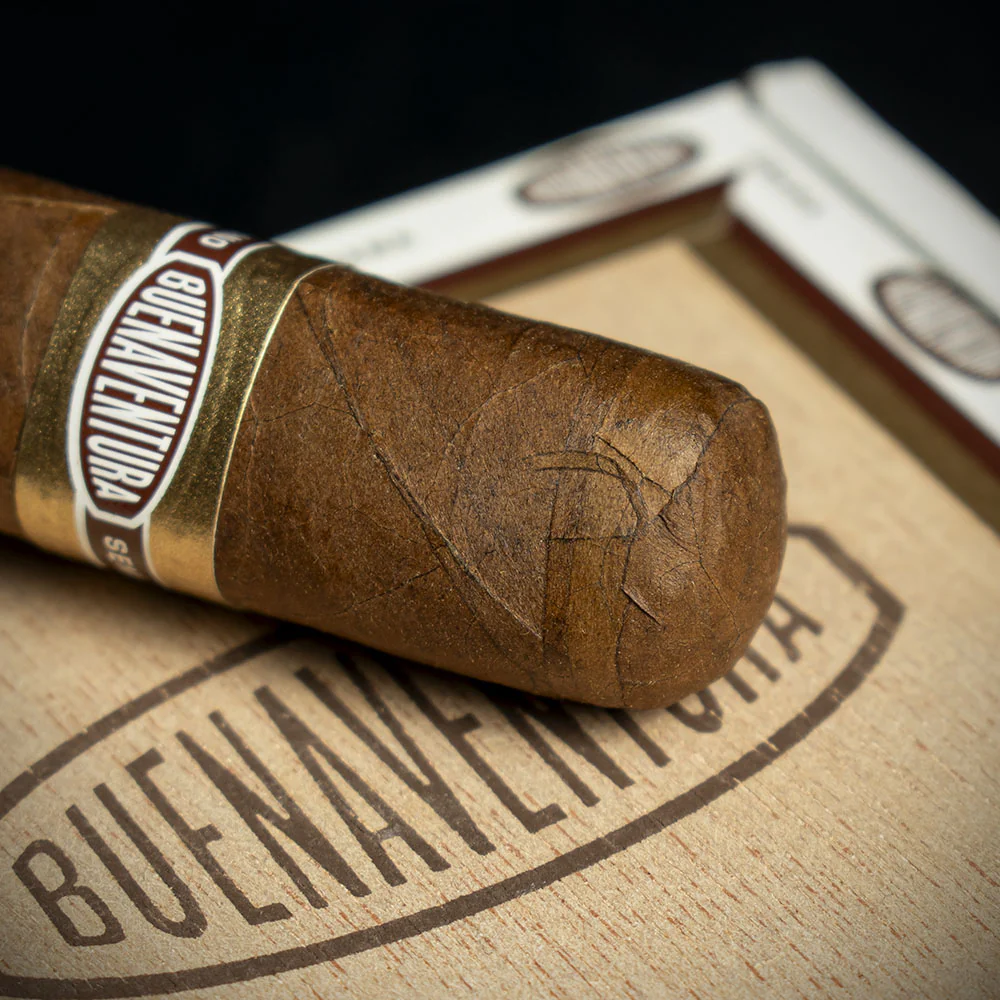 Curivari Buenaventura BV 500 Nicaraguan Robusto Cigar - Single - Image 5