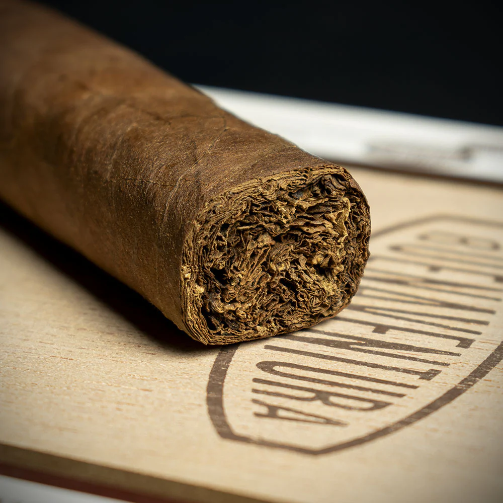 Curivari Buenaventura BV 500 Nicaraguan Robusto Cigar - Single - Image 6