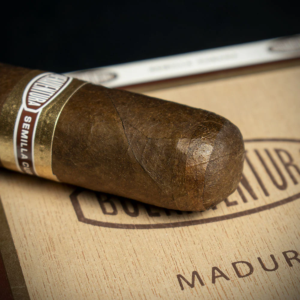 Curivari Buenaventura BV 560 Nicaraguan Maduro Robusto Cigars - Box of 10 - Image 4
