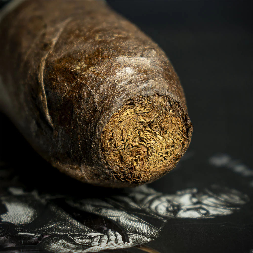 Gurkha Ghost Spook Short XO Cigar - Single - Image 6