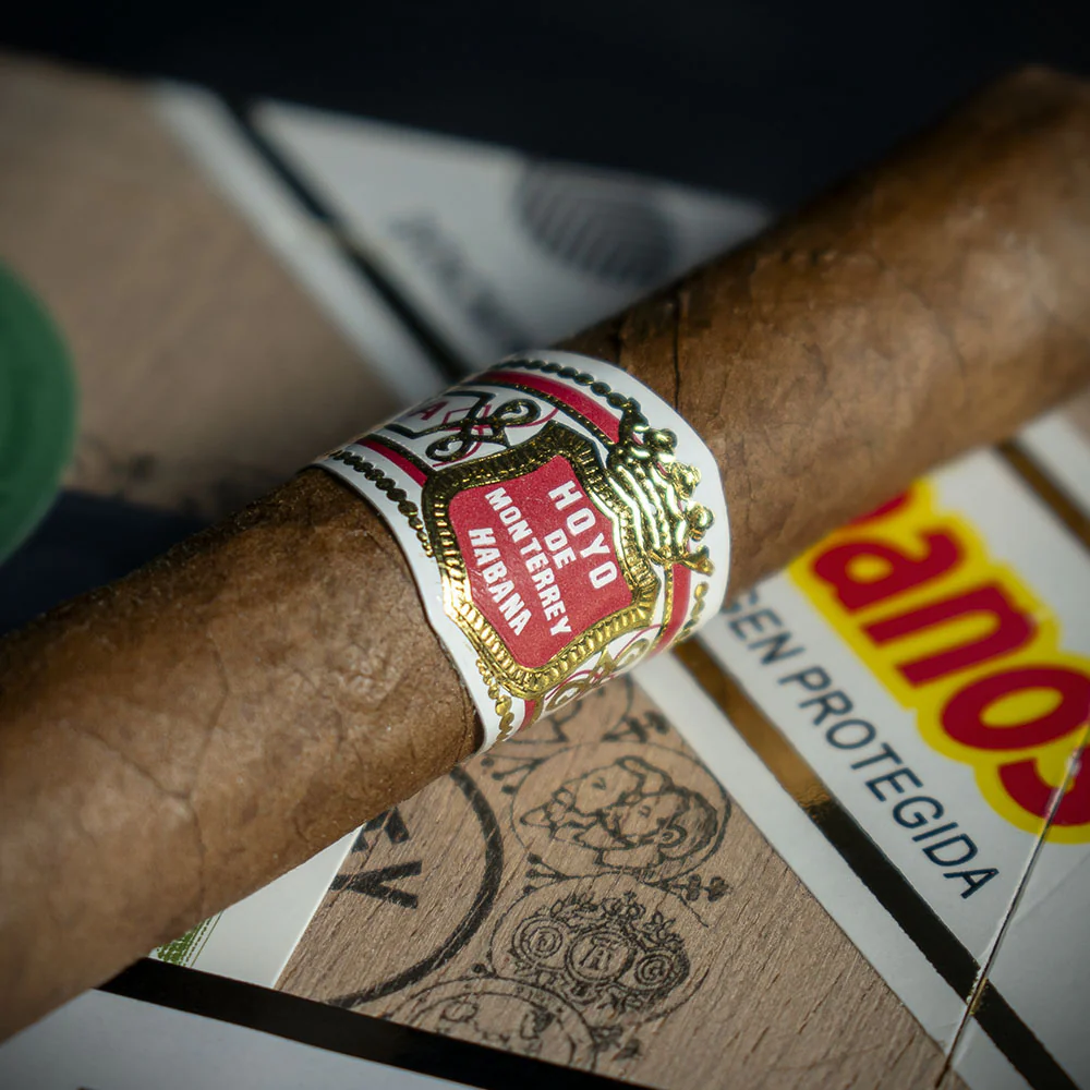 Hoyo de Monterrey Le Hoyo Du Maire Cuban Cigar - Single - Image 4