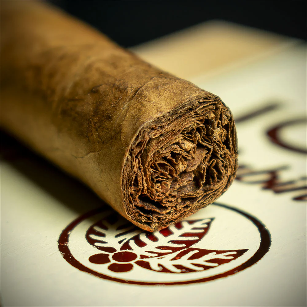Joya de Nicaragua Cabinetta Lancero Limited Edition Cigar - Single - Image 6