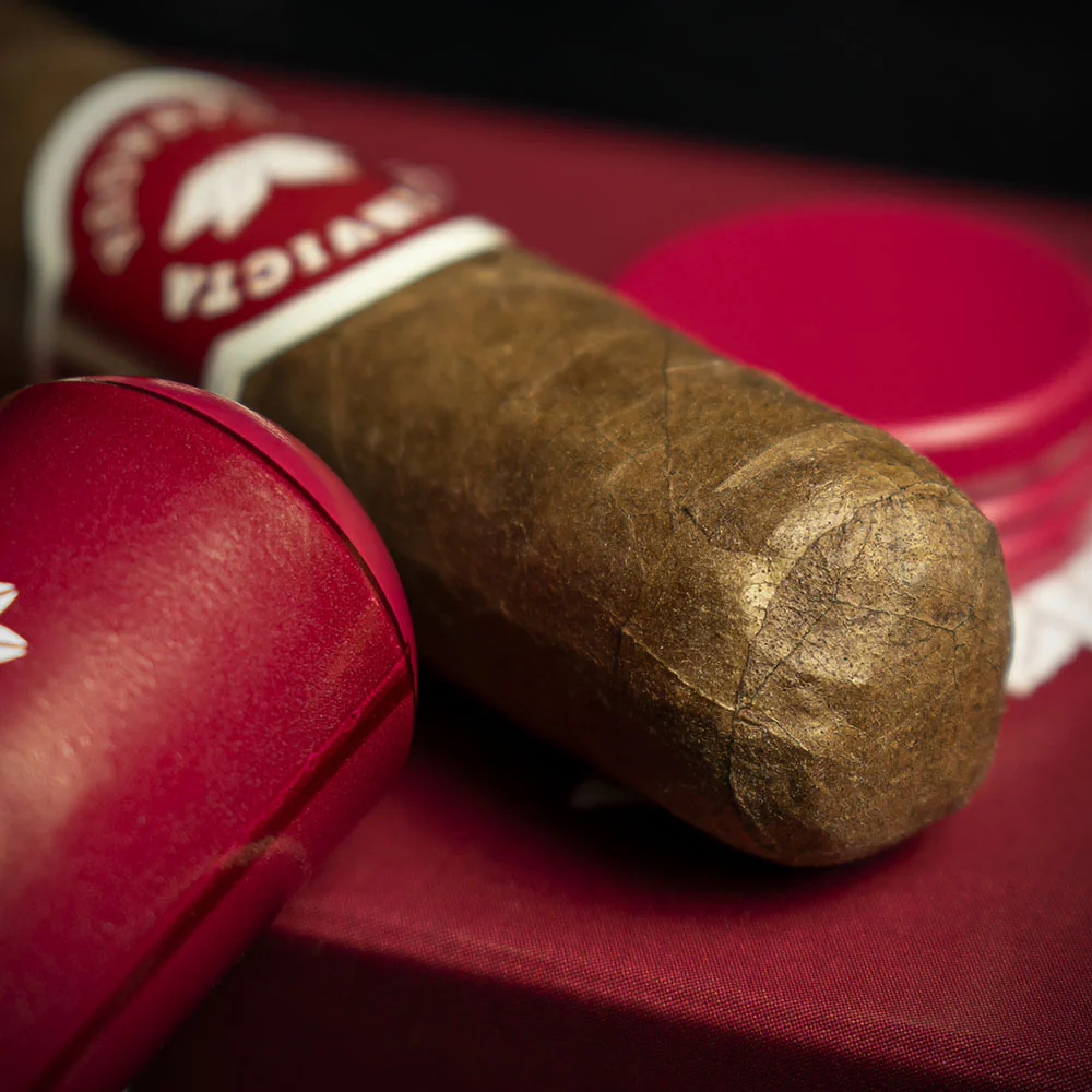 La Invicta Nicaraguan Tubos Petit Corona Cigars - Pack of 3 - Image 4