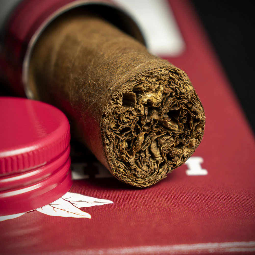 La Invicta Nicaraguan Tubos Petit Corona Cigars - Pack of 3 - Image 5
