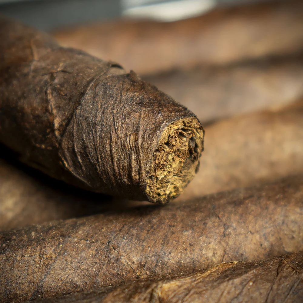 Smoke-King Dutch Senoritas Brazil Cigars - Pack of 12 - Image 3