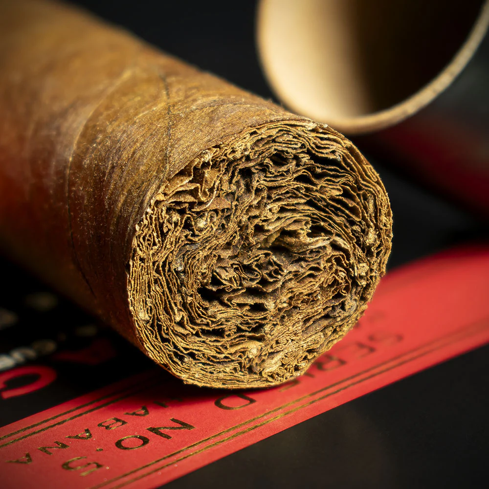 Partagas Serie D No.5 Tubos Cuban Cigar - Single - Image 6
