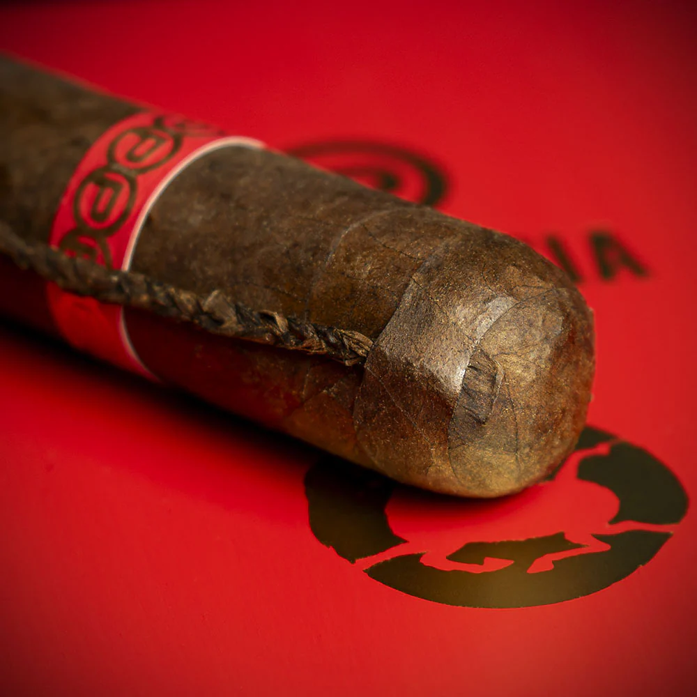 Plasencia Year of the Horse Limited Edition Cigar - Single - Image 5