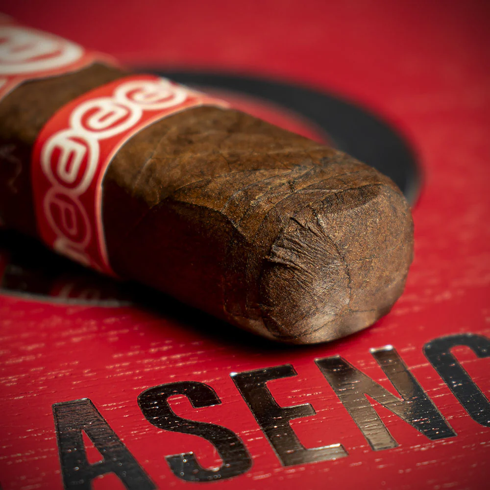 Plasencia Alma del Fuego Nicaraguan Candente Robusto Cigar - Single - Image 6