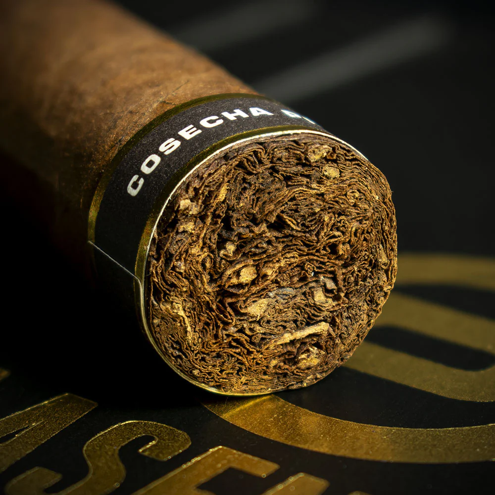 Plasencia Cosecha 151 La Musica Robusto Cigars - Box of 10 - Image 5
