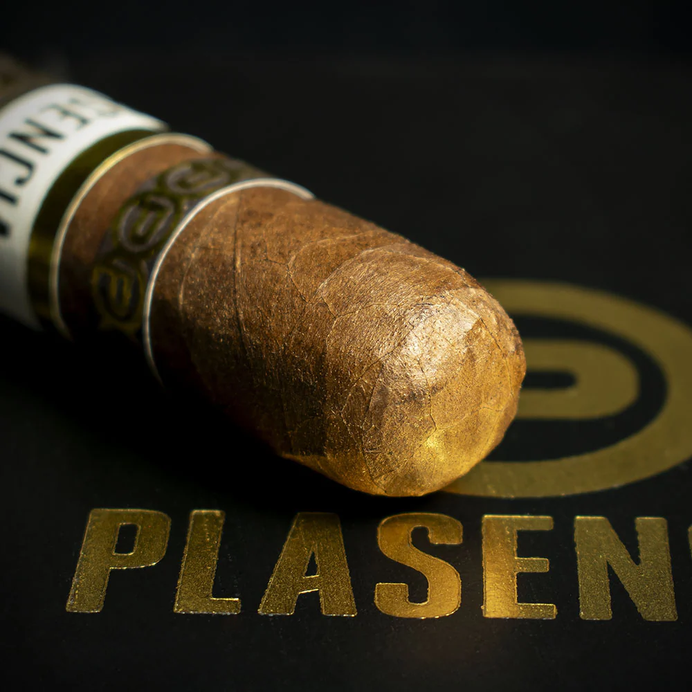 Plasencia Cosecha 151 La Musica Robusto Cigar - Single - Image 5