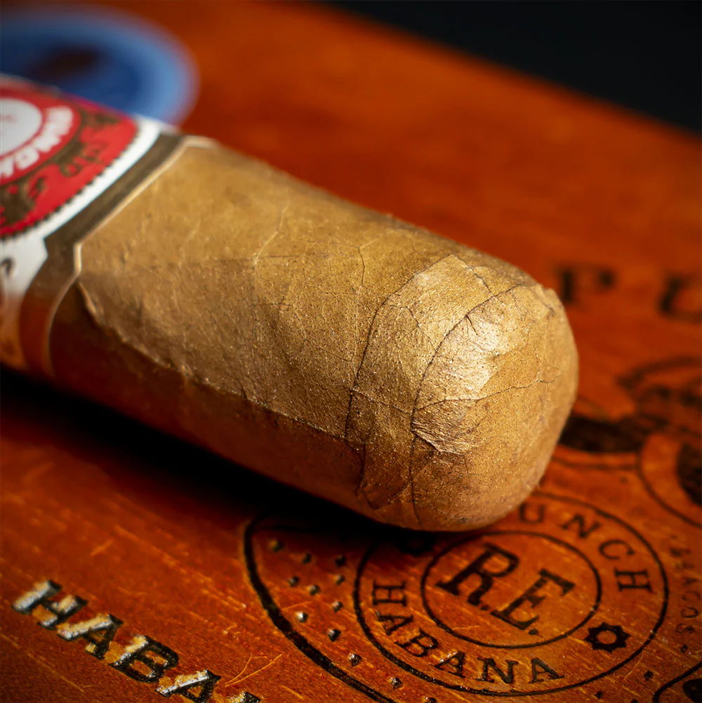 Punch Punch 48 Cuban Cigar La Casa Del Habanos - Box of 10 - Image 4