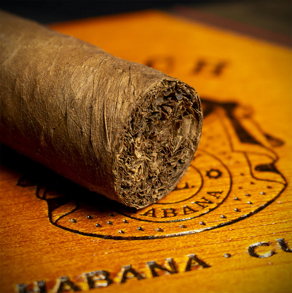 Punch Punch 48 Cuban Cigar La Casa Del Habanos - Box of 10 - Image 5
