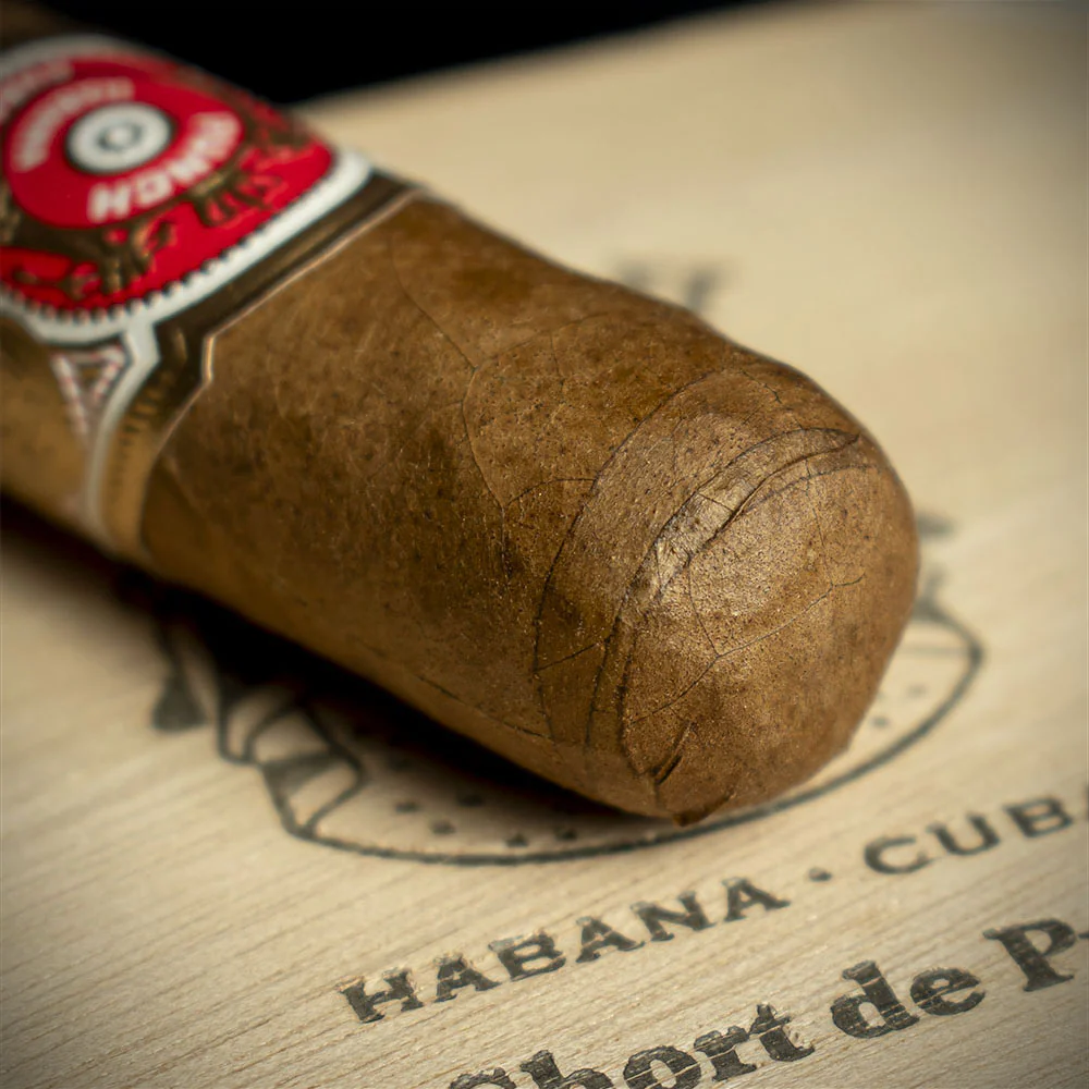 Punch Short de Punch Cuban Cigar - Single - Image 5