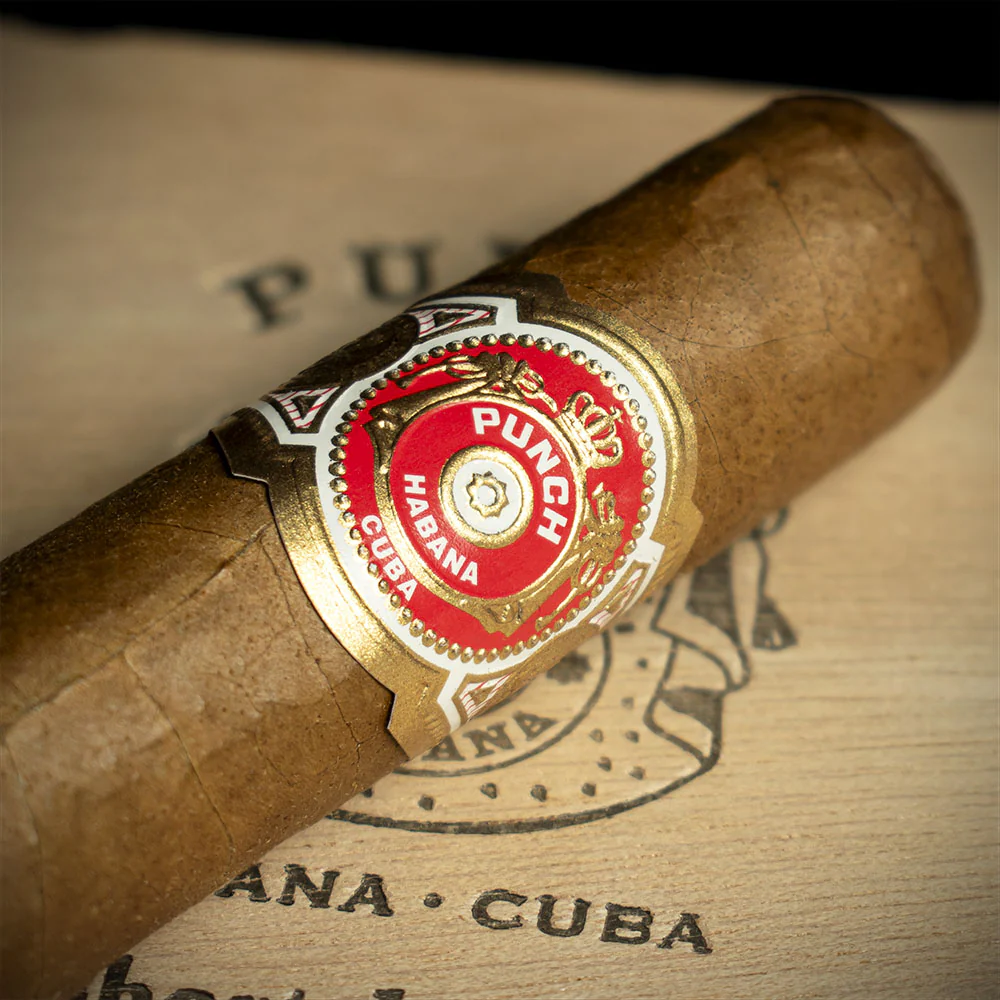 Punch Short de Punch Cuban Cigars - Box of 10 - Image 3