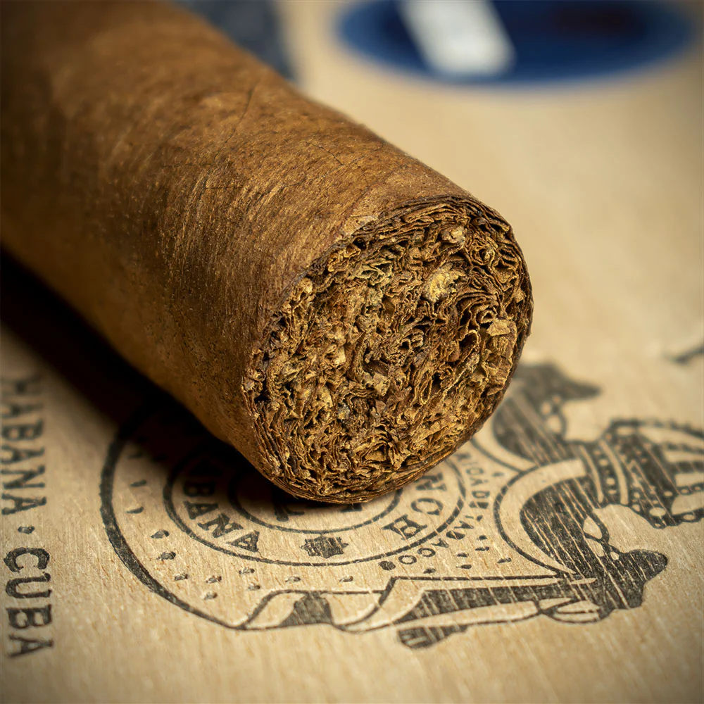 Punch Short de Punch Cuban Cigars - Box of 10 - Image 5