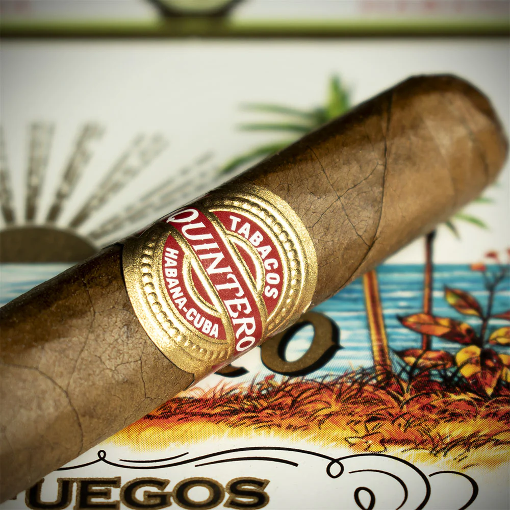 Quintero Panatelas Cuban Cigar - Single - Image 4