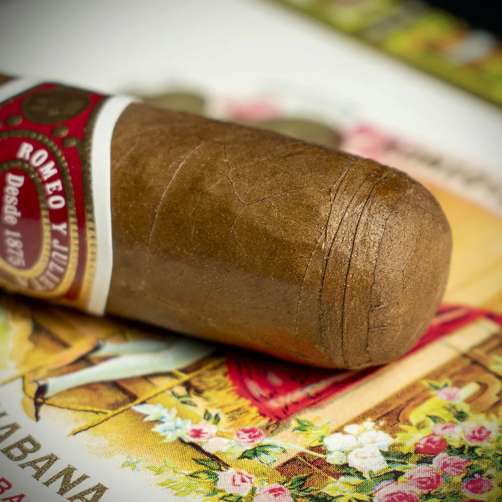 Romeo y Julieta Exhibicion No.4 Cuban Cigar - Single - Image 5