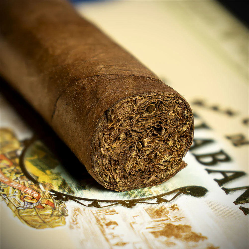 San Cristobal De La Habana El Principe Cuban Cigar - Single - Image 6