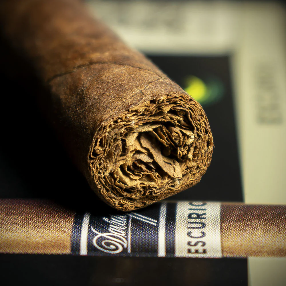 Davidoff Primeros Escurio Petit Panetela Cigar - Single - Image 6