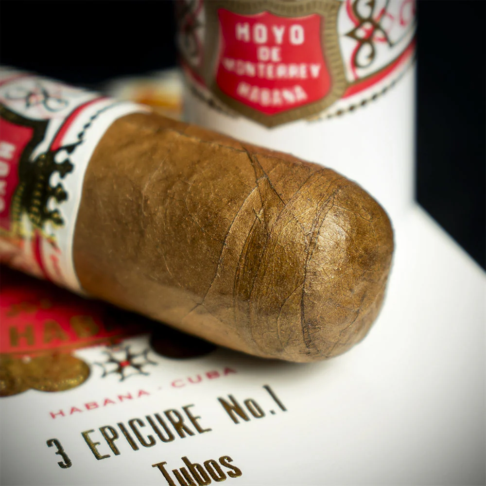 Hoyo de Monterrey Epicure No.1 Tubos Cuban Cigar - Single - Image 5