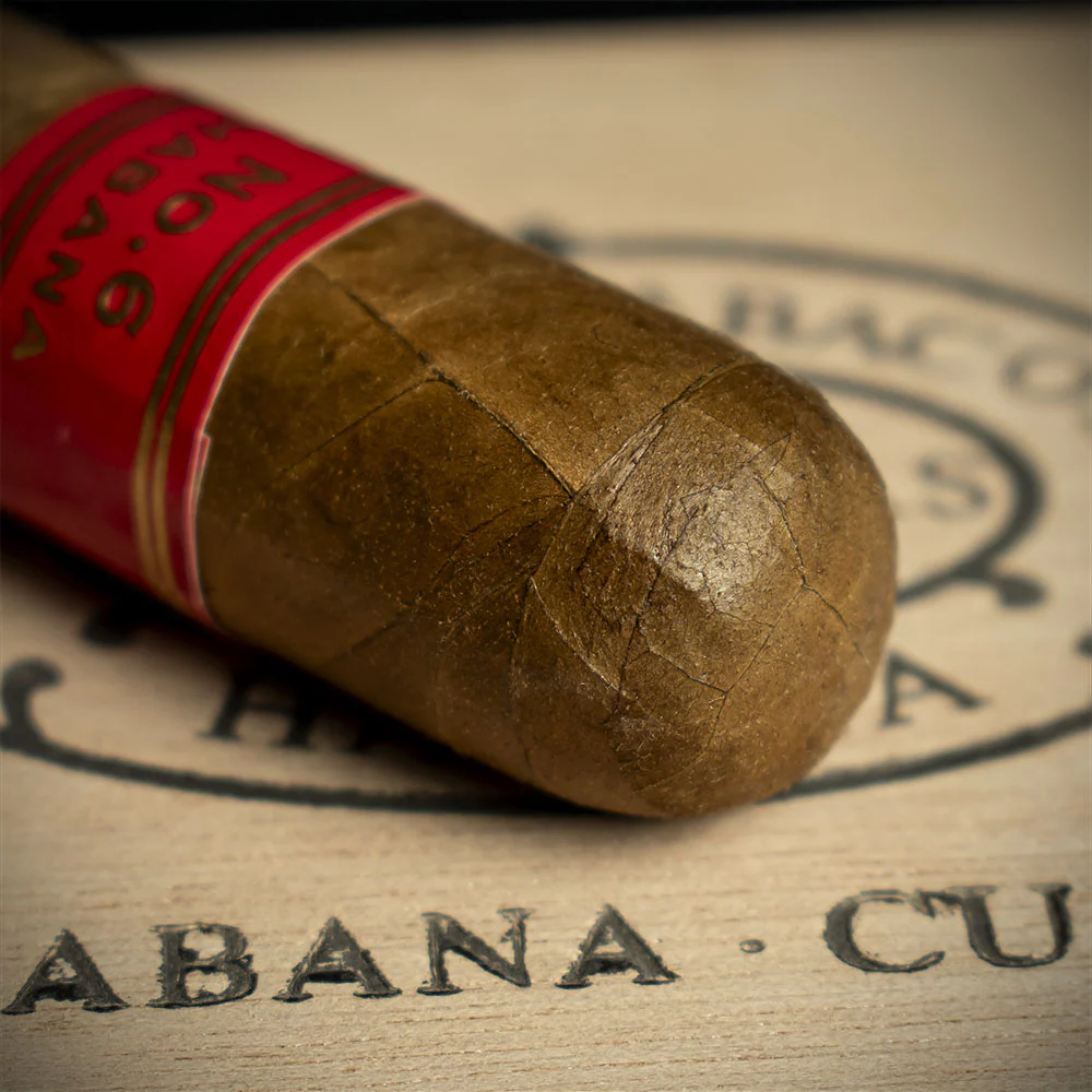 Partagas Serie D No.6 Cuban Cigar - Single - Image 5