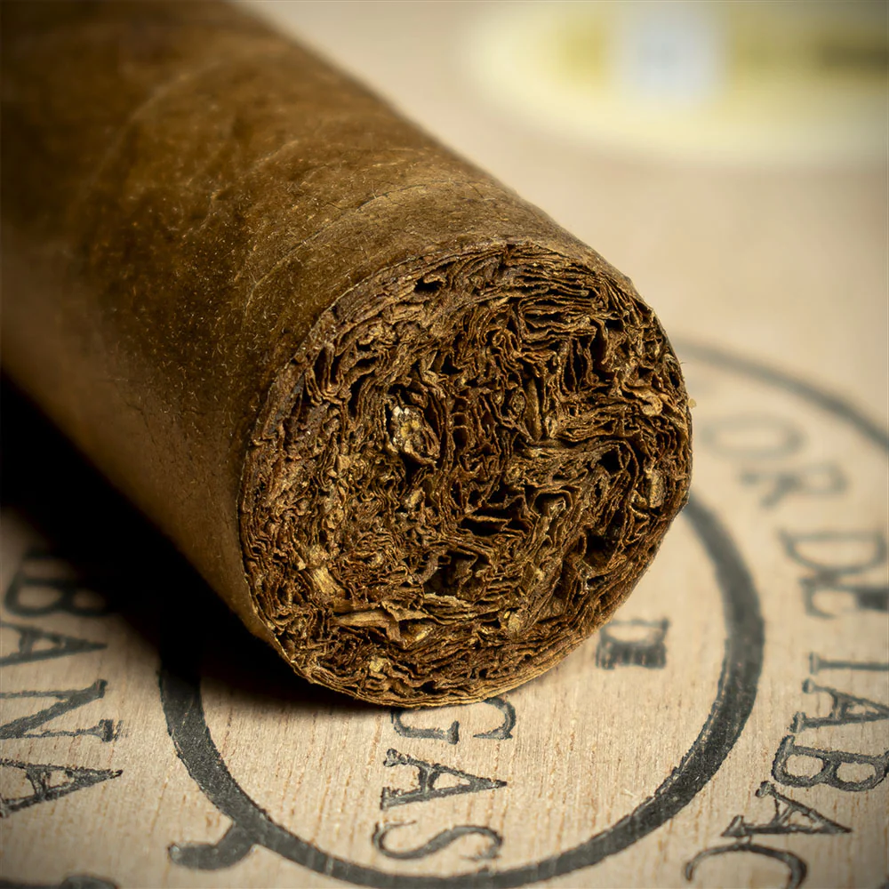 Partagas Serie D No.6 Cuban Cigar - Single - Image 6