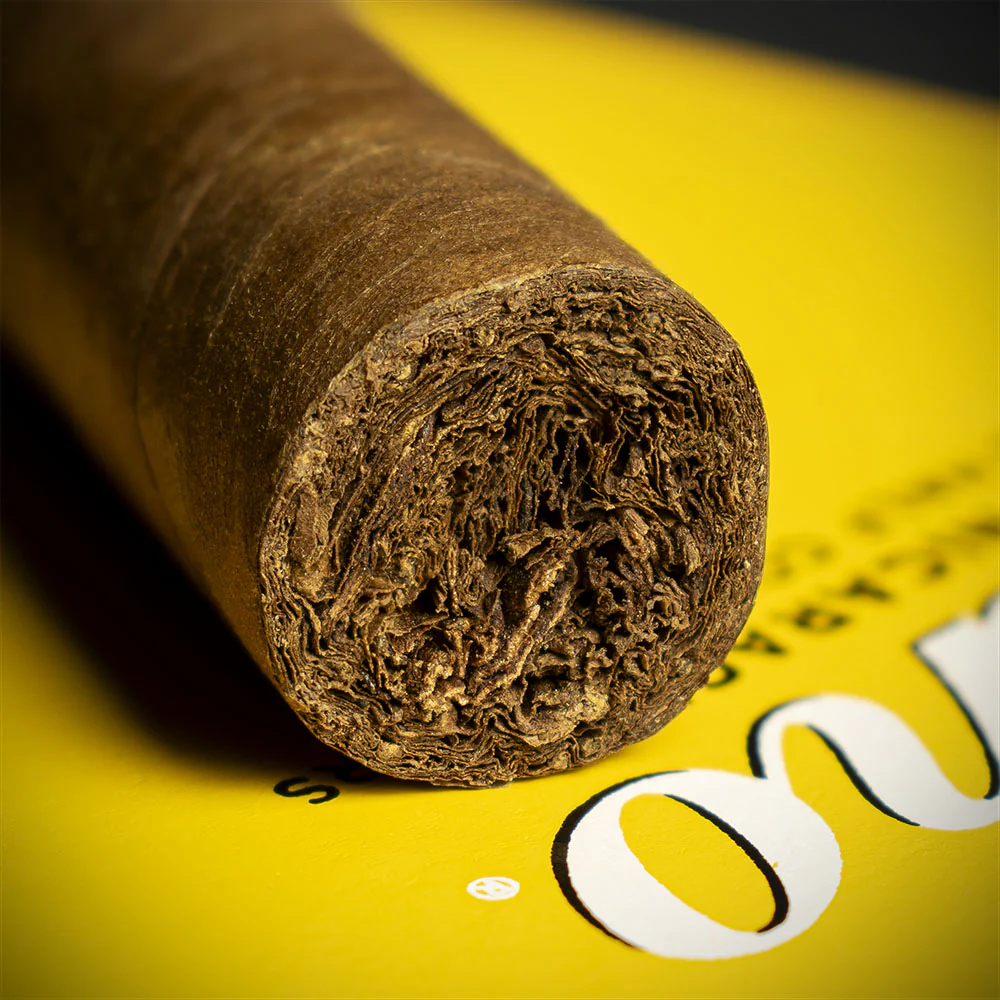 Zino Nicaragua Half Corona Cigar - Single - Image 6